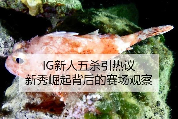 IG新人五杀引热议 新秀崛起背后的赛场观察